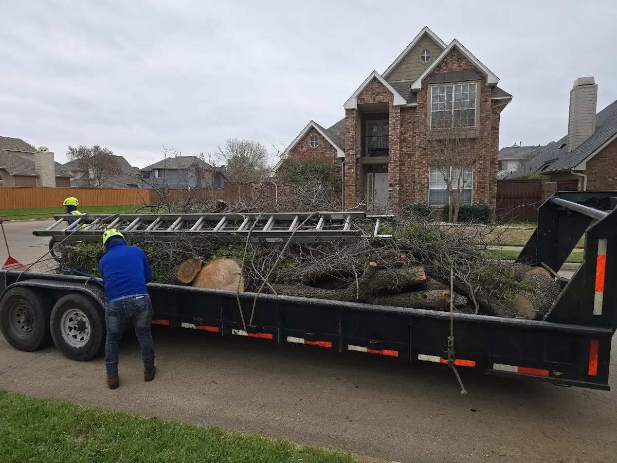 Expert Lot Clearing with proper safety equipment in Claypool